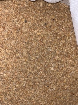 соевый шрот 10 кг