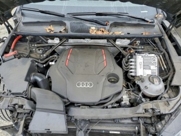 Audi SQ5 2024 Audi SQ5 Premium Plus 2024 3.0l 3.0 Benzyna 349KM, zdjęcie 6