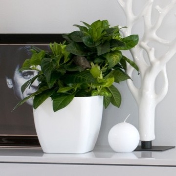 Крышка для цветочного горшка квадратная 8х8 см ЖЕЛТАЯ Желтый