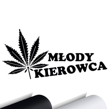 NAKLEJKA na samochód MŁODY KIEROWCA LISTEK 7x15