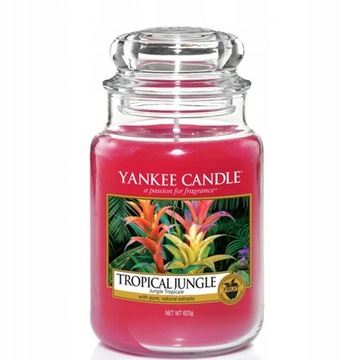 Yankee Candle Large Jar Tropical Jungle 62 Prezent