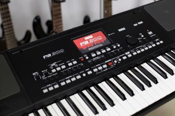 Korg PA300 Аранжировщик клавиатуры +Польские стили +Руководство PL