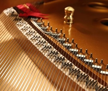 Мастер-пианино KAWAI SK-7 229 см