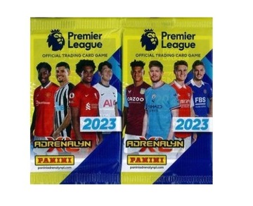 SASZETKA Z KARTAMI PREMIER LEAGUE 2023 PANINI
