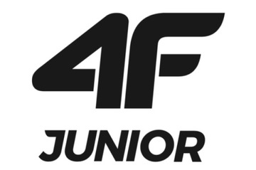 РЕЗИНОВЫЕ ШЛЕПКИ ДЛЯ МАЛЬЧИКОВ 4F БАССЕЙН FFLIM079 37