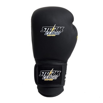 Боксерские перчатки StormCloud Boxing Pro, черные, 12 унций