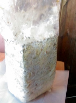 Генератор CO2 Мини 2х1 кг для выращивания растений - Mycomed