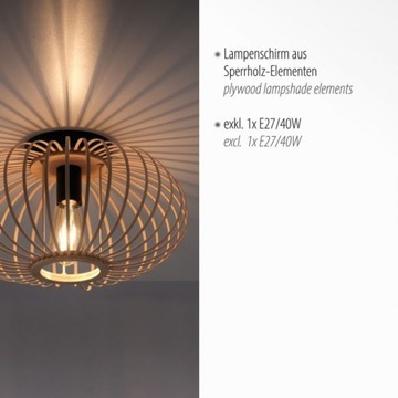 RACOON 11410-79 Потолочный светильник в стиле лофт - Paul Neuhaus