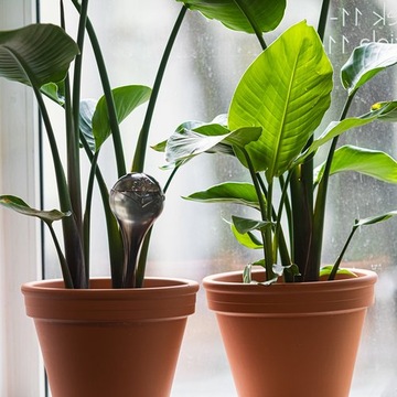 KULE NAWADNIAJĄCE AQUA DO PODLEWANIA 400 ml CZARNE TRANSPARENTNE 2szt