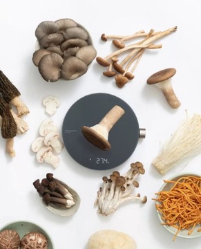 HOTO Elektroniczna waga kuchenna 0,1g MI HOME DRIP