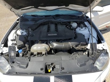 Ford Mustang VI Mach 1 5.0 Ti-VCT 460KM 2021 Ford Mustang gt, 2021r., 5.0L 5.0 Benzyna 460KM, zdjęcie 10