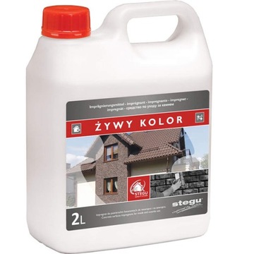 STEGU Impregnat Żywy Kolor - Beton 2L