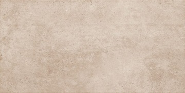 PŁYTKI TEMPRE BROWN POLER 60,8X30,8 DOMINO