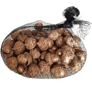 Złote żołędzie, naturalny dodatek do stroików 200g