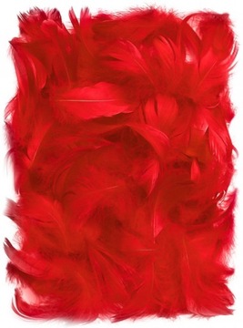 ПЕРО ПЕРЬЯ ДЕКОРАТИВНЫЕ ПЕРЬЯ 190 ШТ 27 ЦВЕТОВ