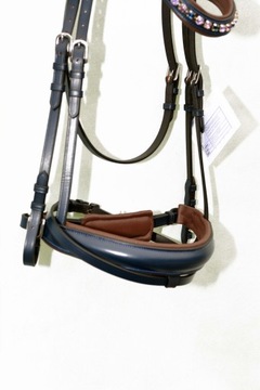 Профилированная анатомическая команда полна