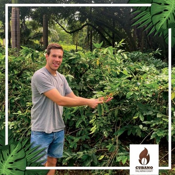 Подарочный набор свежеобжаренных КОФЕ В ЗЕРНАХ 6x250г - Cubano Coffee Roaster