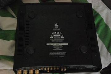 Линн Маджик DS/1 игрок