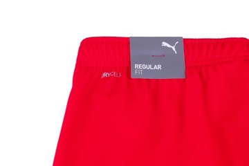 PUMA spodenki męskie krótkie sportowe szorty teamRISE roz. L