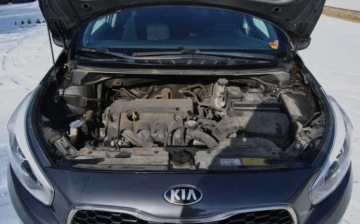 Kia Ceed II pro_cee´d 1.4 DOHC 100KM 2013 Kia Ceed GWARANCJA, 1 rej 2014r, 1.4 Benz, Dobre wyposazenie, Ladnie utrzy, zdjęcie 15