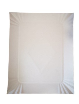 Tacka papierowa Eko biała duża 20/25 cm 250 szt.