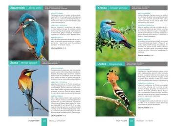 АТЛАС ПТИЦ 250 польских видов HARDBOOK Доминика Марховского SBM 0374