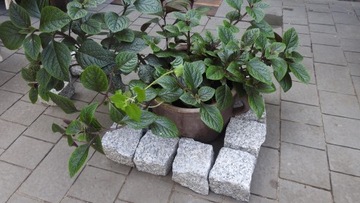 КУБ ГРАНИТНЫЙ СЕРЫЙ 7/9см 25кг 15-19шт