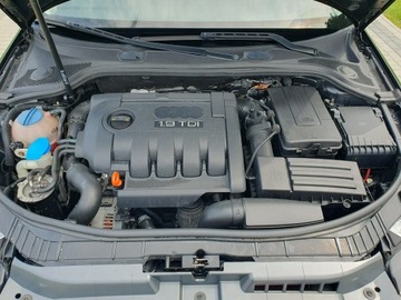 Audi A3 8P Hatchback 3d 1.9 TDI 105KM 2008 Audi A3 1.9tdi 105KM Sportback LIFT Raty Zamian, zdjęcie 12