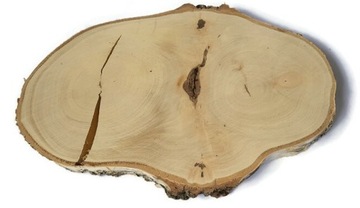 Plastry drewna brzoza 25-35 cm DUŻE nieregularne kształty EKO