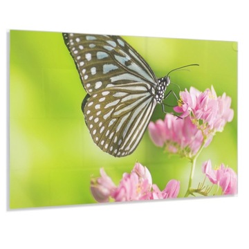 Szkło Hartowane Ochronne 80x60 Gratis