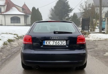 Audi A3 8P Hatchback 3d 1.6 TDI 105KM 2010 Audi A3 3-drzwiowe Audi A3 3-drzwiowe 1.6 TDI DPF Ambition 1.6 Diesel 105KM, zdjęcie 8