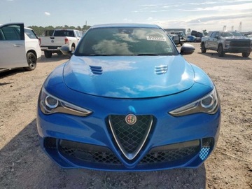 Alfa Romeo Stelvio 2019 Alfa Romeo Stelvio Quadrifoglio 2019 2.9l 2.9 Benzyna 505KM, zdjęcie 5