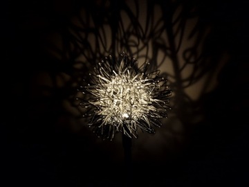 Светодиодный солнечный светильник Dandelion для сада, балкона, солнечный декоративный светильник