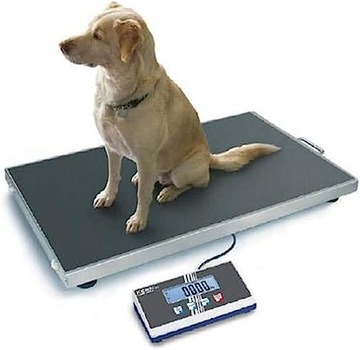 Waga Platformowa Kern 300 kg x 100 g