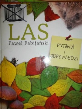 Las - Fabijański