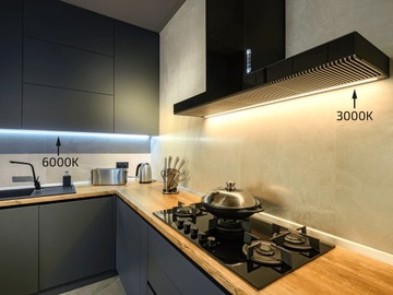 COB СВЕТОДИОДНАЯ ЛЕНТА 12В 480LED 5M IP67 NEON LIGHT LINE 3000K