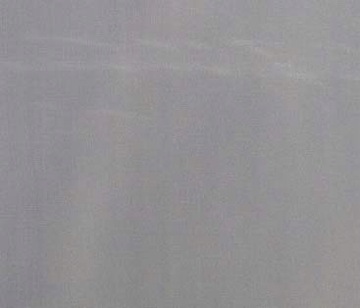 MG Firana KACZOR DONALD DA60 220x150 taśma 2gat X