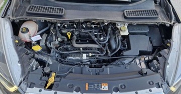 Ford Escape III 2019 Ford Escape 1.5 EcoBoost 180KM Automat Led DRL 1.5 Benzyna 182KM, zdjęcie 5