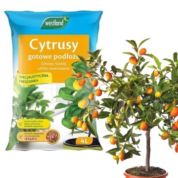 Podłoże Ziemia do Cytrusów SERAMIS 4 L WESTLAND