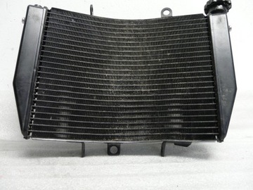 Tight Straight RADIATOR Triumph Speed ​​Triple
