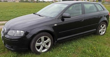 Audi A3 8P Hatchback 3d 1.9 TDI 105KM 2008 Audi A3 8P 1.9 TDI