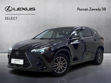 Lexus NX II SUV 350h 242KM 2022 Lexus NX 350h Business AWD II (2021-) Lexus NX 350