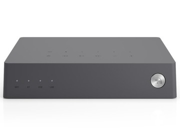 Аудио стример Pro Link 2