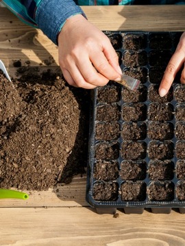 БИОГРУНТ ДЛЯ ПОМИДОРОВ, ПЕРЦЕВ, ТРАВ, ОГУРЦОВ, КАБАЧКОВ, ОВОЩЕЙ 45л