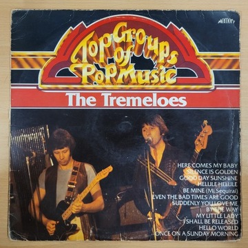 The Tremeloes Top Groups Of Pop Music VG 81'