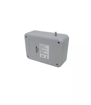 RICCO AN0325 РАДИОЧАСЫ