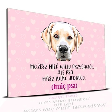 TABLICZKA RÓŻOWY 22X15CM LABRADOR MASZ TYLKO JEDNEGO PERSONALIZACJA IMIĘ