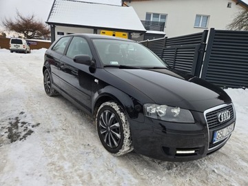 Audi A3 8P Hatchback 3d 1.9 TDI 105KM 2006 Audi A3 3-drzwiowe 1.9 TDI Ambiente nowe sprzęgło + koło dwumasowe, zdjęcie 3