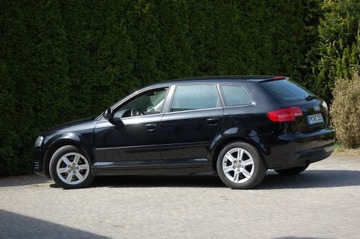 Audi A3 8P Hatchback 3d 1.6 102KM 2010 Audi A3 Lift Automat 5drzwi1.6MPI Klimatronic Alu Lato+Zima, zdjęcie 11