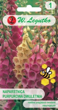 Nasiona Naparstnica purpurowa Legutko
